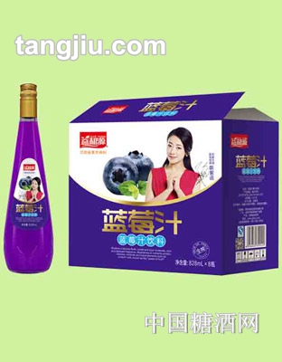 益和源蓝莓汁828ml