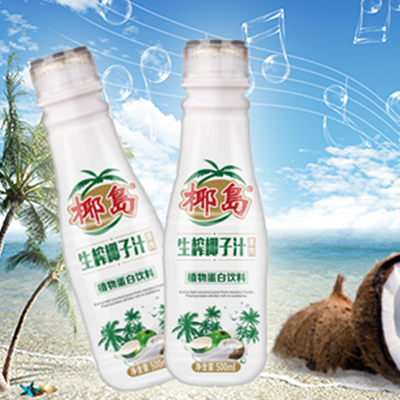 椰岛生榨椰子汁500ml（植物蛋白饮料）