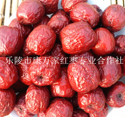 山东大枣产地代办经纪人