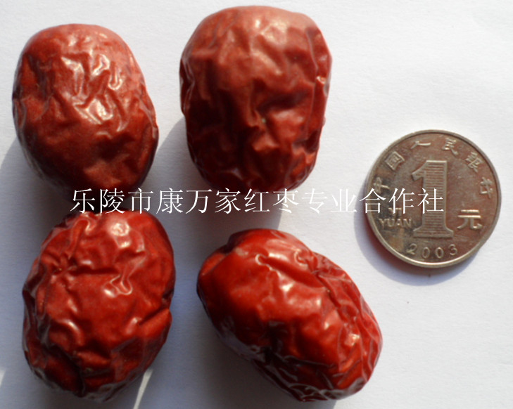 哪里有乐陵小枣批发厂家