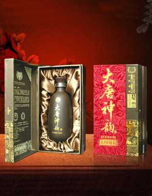 大唐蕴大国风范6