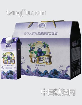 津派野蓝莓500ml手提礼盒