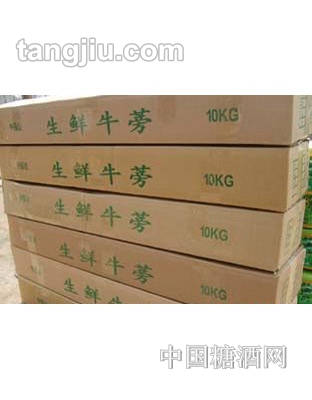 生鲜牛蒡10kg