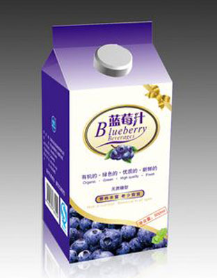 蓝莓2