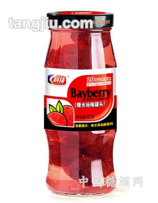 糖水杨梅罐头