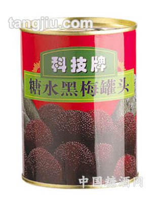 糖水黑梅罐头567g