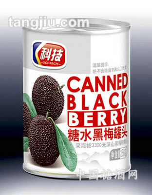 糖水黑梅罐头《简装》256g