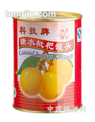 糖水枇杷罐头567g