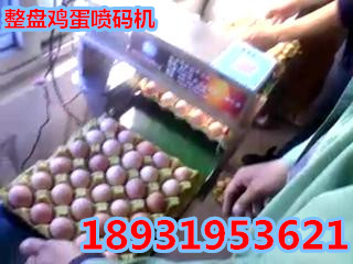 秦皇岛鸡蛋喷码机