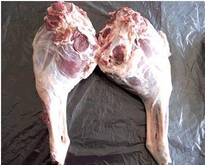 汕尾市价廉冷冻羊腿肉 羊棒骨 羊鞭羊腰羊