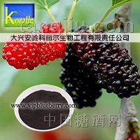 供应厂家直供 天然植提 桑葚提取物