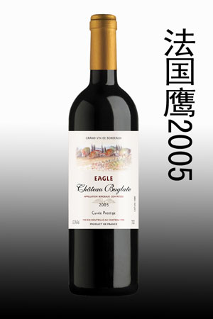 法国鹰2005