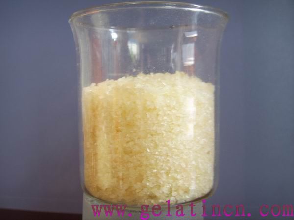 食用明胶