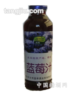 蓝莓野果汁（圆瓶）420ml