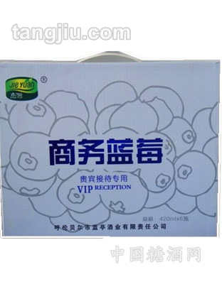 蓝莓果汁（420ml）礼盒