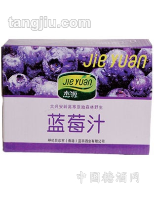 蓝莓汁（300ml）1X20