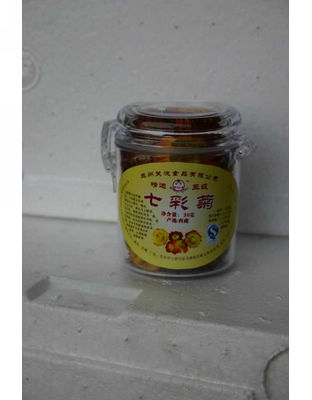 瓶装七彩菊.