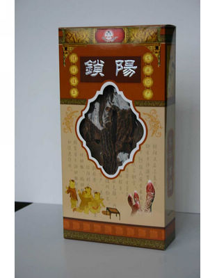 盒安西锁阳.