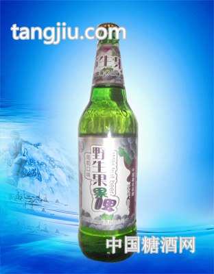 青岛崂岸啤酒500ml野生果啤