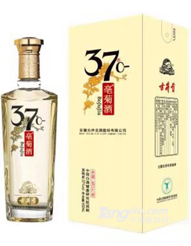 37°古井贡·亳菊单盒装