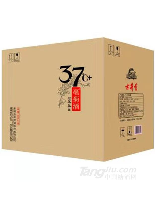 37°古井贡·亳菊箱装