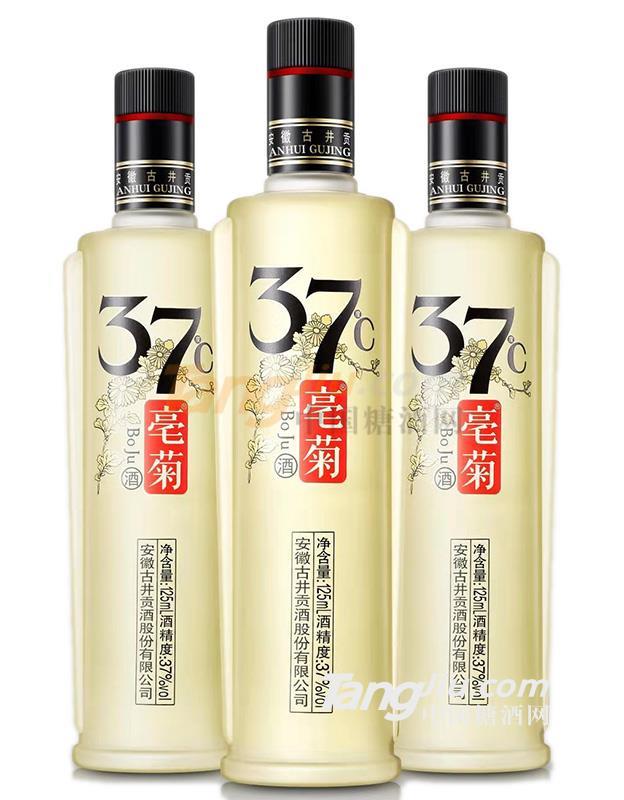 37°古井贡·亳菊酒1.jpg