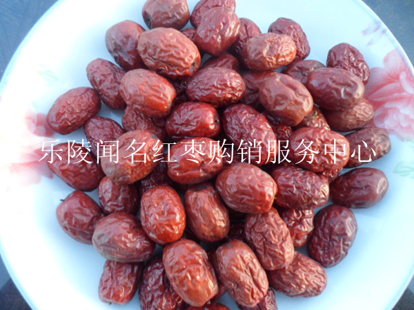 乐陵金丝小枣近期收购价格