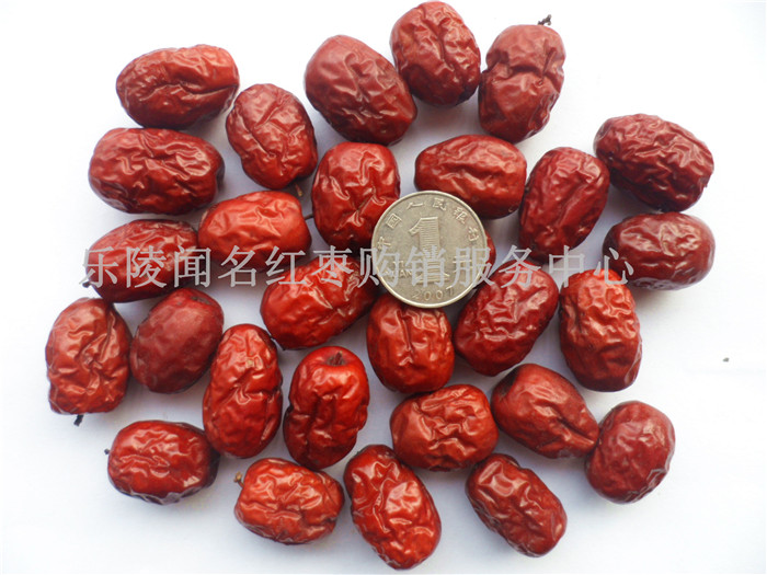 乐陵金丝小枣产地格