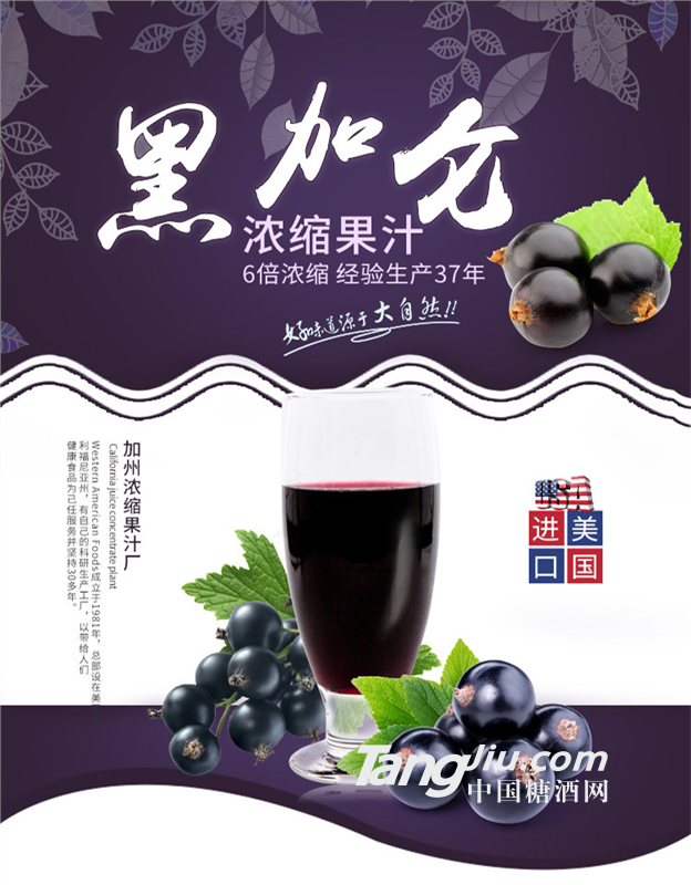 美国进口威瑟亚美黑加仑浓缩汁 黑加仑浓缩果汁