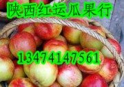 陕西油桃价格供应
