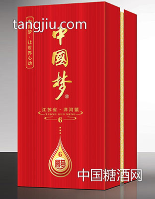 中国梦—圆梦6