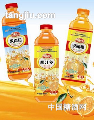 康心-果汁饮料460ml