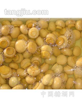 盐水双孢菇