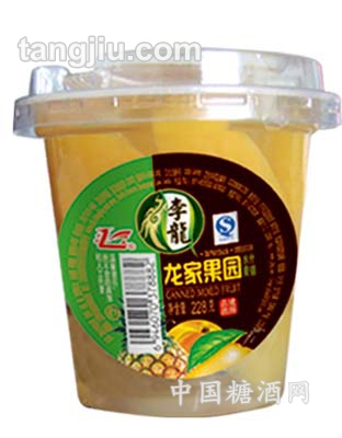龙家果园-什锦水果228g