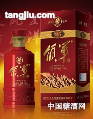 领军酒窖五500ml
