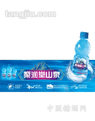 梨润堂山泉500ml
