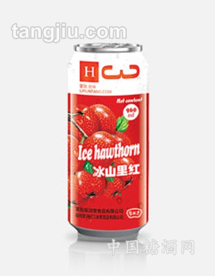 梨润堂冰系列冰山里红310ml
