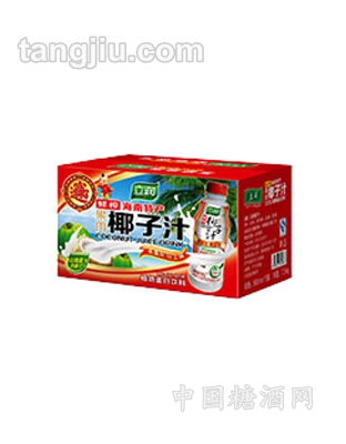 500ml瓶装（）立润果肉椰子汁外箱