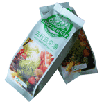 供应佰恩堂五行蔬菜汤