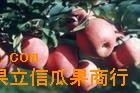 红富士苹果价格陕西红富士苹果价格80#红富士苹果价格
