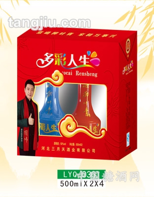 柳叶青酒多彩人生500ml
