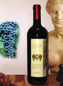 Antico Bricco   庄园干红葡萄酒