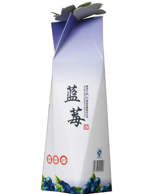 蓝莓果脯（多边形）