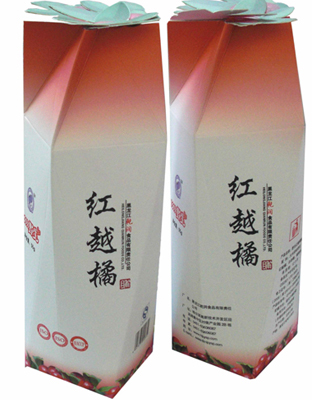 红越橘果脯（多边形）