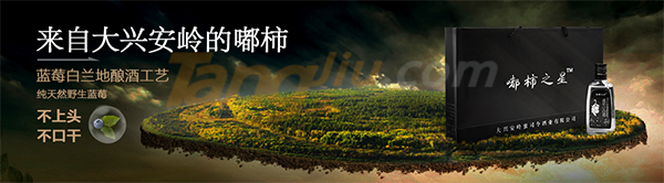 龙达健康酒业（广州）有限公司.png
