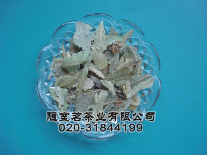 供应进口菩提叶 进口花草茶批发报价 花茶 花草茶 花果