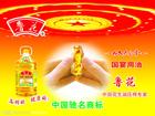 供应鲁花压榨一级花生油
