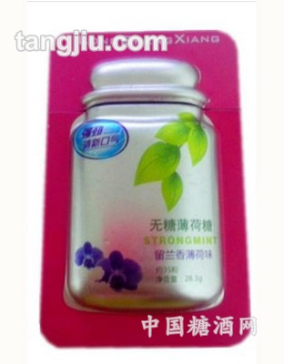 留兰香味薄荷糖28克