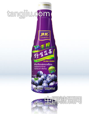 野生蓝莓500ml