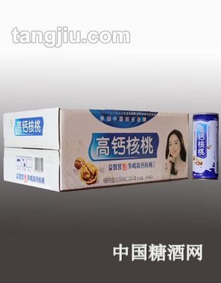 怡龙源高钙核桃植物蛋白风味饮料